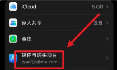 设置中退Appstore里的id